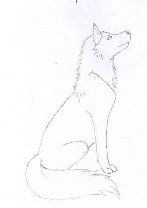 Art Drawings Sketches Simple Easy, Easy Art Drawings, Wolf Drawing Easy, Animal Sketches Easy, Husky Drawing, Wolf Sketch, Dog Drawings, Easy Animal Drawings, Animal Templates