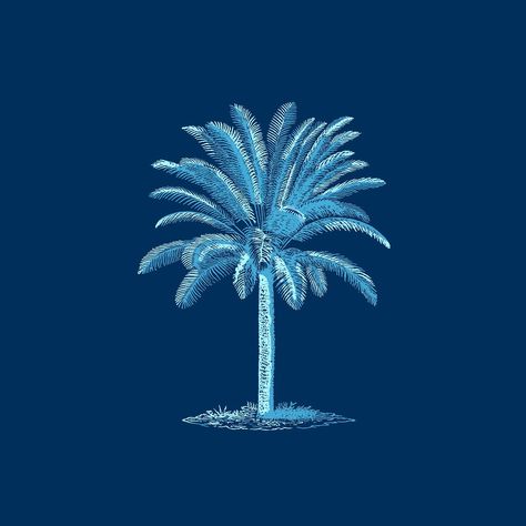 Tree Psd, Palm Tree Illustration, Blue Palm Tree, Tree Palm, Botanical Illustrations, Hand Drawn Illustration, Tree Illustration, Drawn Illustration, Free Illustrations