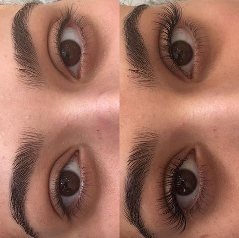 Lashes And Eyebrows, Natural Fake Eyelashes, Eyelash Extensions Styles, Perfect Eyelashes, Natural Eyelash Extensions, Eyelash Extentions, Natural Eyelashes, Best Lashes, Eyelash Growth