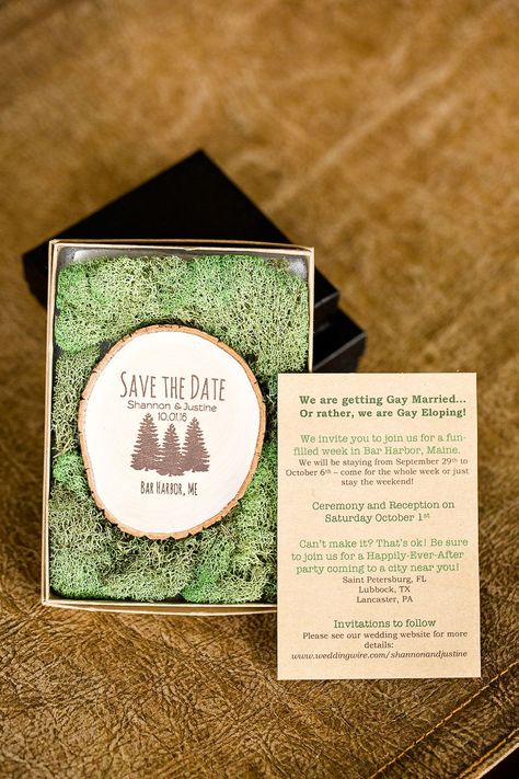 Four weddings and a national park: these two ladies had the first of four(!) weddings | Offbeat Bride Acadia Wedding, Two Ladies, Offbeat Bride, National Park Wedding, Acadia National Park, Park Wedding, Park Weddings, Save The Date, Wedding Favors