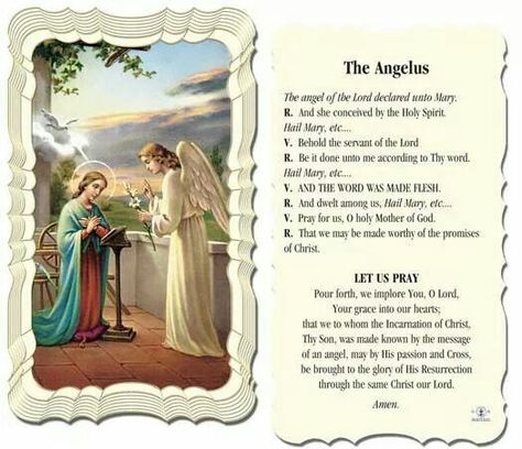 The Angelus Prayer Angelus Prayer, The Angel Of The Lord, The Angelus, Angel Of The Lord, Catholic Prayers Daily, Prayer For My Children, Dark Spots On Face, Prayer Changes Things, Religious Pictures