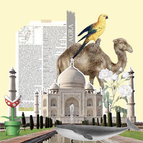 Eva Airlines, Travel Brochure Design, Presentation Pictures, City Collage, Bored Jar, City Postcard, Taj Mahal India, City Layout, Tourism Day