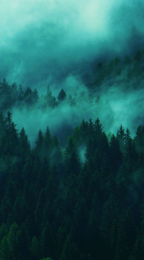 Green Wallpaper Aesthetic, Samsung Wallpapers, Aesthetic Tree, Awesome Backgrounds, Turquoise Aesthetic, Fog Forest, Forest Aesthetic, Turquoise Wallpaper, Twilight Pictures