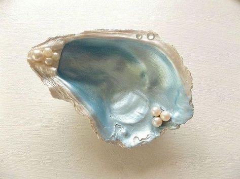 West End Girls, No Ordinary Girl, Oyster Shell Crafts, Pixie Hollow, Shell Crafts Diy, Mermaid Aesthetic, Shell Ring, Oyster Shells, Seashell Art