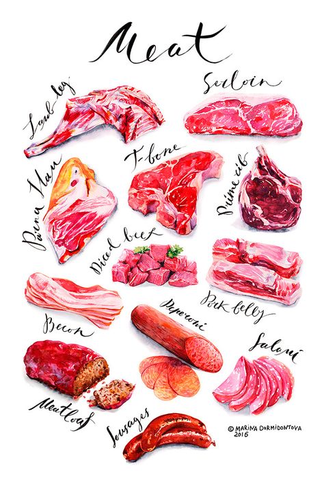 Meat Art, Recipe Book Diy, Recipe Drawing, Studying Food, Food Sketch, Food Cartoon, Food Illustration Art, Watercolor Food, Food Painting