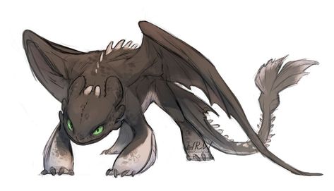 How To Train Your Dragon Art Sketches, Night Fury Dragon, Httyd Art, Dreamworks Dragons, Dragon Sketch, Httyd Dragons, Creature Drawings, Dragon Pictures, Train Your Dragon