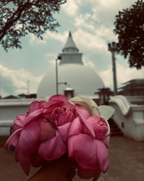 Kiri Vehera Sri Lanka Photography, Sri Lanka, Lotus, Temple, Flowers, Photography, Quick Saves