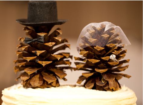 Pine Cone Wedding, West Virginia Wedding, Wedding Cake Toppers Unique, Rustic Style Wedding, Unique Wedding Cakes, Winter Wonderland Wedding, Wonderland Wedding, Rustic Chic Wedding, Trendy Wedding