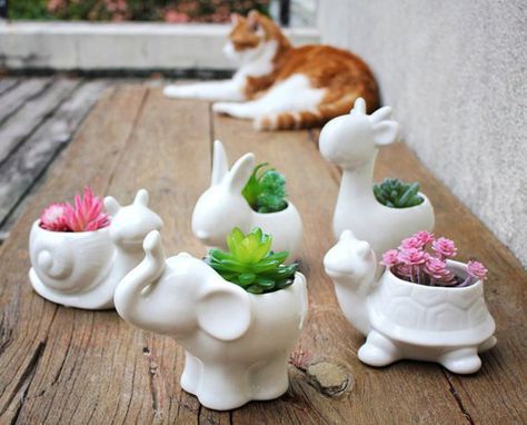 Ceramic planter succulent planter pottery planter animal planter rabbit planter giraffe planter turt Giraffe Planter, Ceramic Nature, Whale Planter, Plant Holders Indoor, Planter Pottery, Plant Pot Design, Ceramic Succulent Planter, Planter Gift, Ceramic Succulent