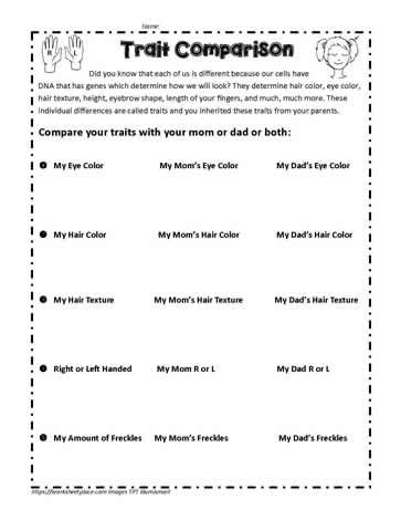 Story Sequencing Worksheets, Diagramming Sentences, Inherited Traits, Ngss Science, Sequencing Worksheets, Prepositional Phrases, Third Grade Science, Subtraction Word Problems, Letter Tracing Worksheets