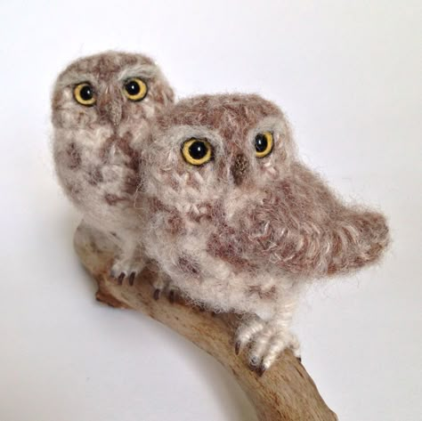 I make realistic looking birds using crochet, needle-felting and a bit of embroidery, because I really like birds and couldn't persuade any real ones to come indoors. Each bird takes between 1 and 4 weeks to make. I make them out of pure wool yarns and fill them with lamb's wool - which makes them feel quite alive - and each one is tagged with a year-coded metal leg ring. Baby Sparrow, Tovad Ull, Needle Felted Owl, Felted Birds, Crochet Bird Patterns, Crochet Owls, Felt Owls, Felt Owl, Crochet Birds