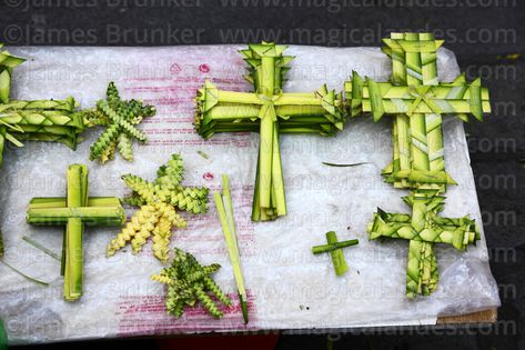 Palm Cross, Palm Sunday Crafts, Palm Sunday, Church Decor, Image Photography, Palm Leaves, Bolivia, Easter Spring, Spring Decor