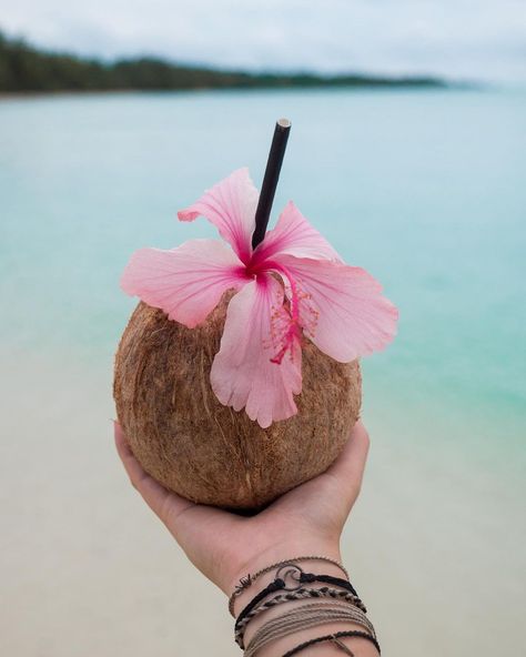 Coconut Core, Coconut Food, Thailand Activities, Koh Samui Beach, Hawaii Pictures, Food Summer, Island Theme, Preppy Girl, Island Vibes