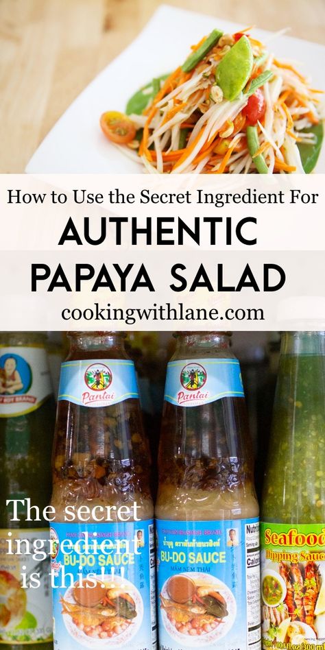 What is Padaek? (The secret ingredient in Lao and Thai Papaya Salad) Laos Papaya Salad Recipe, Cambodian Papaya Salad, Lao Papaya Salad Recipe, Papaya Salad Laos, Thai Papaya Salad Recipe, Loas Food, Green Papaya Salad Recipe, Papaya Salad Recipe, Asian Potluck