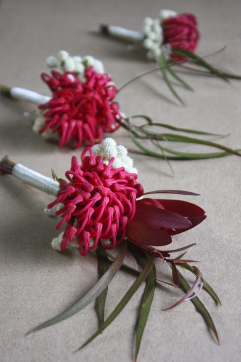 Waratah Wedding Bouquet, Florist Inspiration, Waratah Flower, How To Get Married, Australian Native Flowers, Native Flowers, Wedding Backdrop Design, Wedding Arch Flowers, Arch Flowers