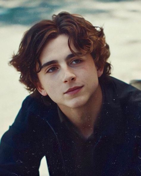 I hate Kyle so 😍 on We Heart It Regulus Acturus Black, Foto Muro Collage, Timmy T, Regulus Black, Lady Bird, The Perfect Guy, Timothee Chalamet, The Marauders, Bucky Barnes