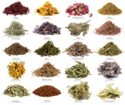 Herb Plants you can put on pinterest | ... you’re in the tea aisle, so you can make a knowledgeable selection Magia Das Ervas, Magical Herbs, Types Of Tea, Spices And Herbs, Healing Herbs, Medicinal Herbs, Health Facts, Herbal Medicine, Herbal Tea