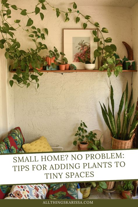 Do you have a small home but still want to bring some life into your living space with house plants? You're in luck! There are plenty of space-saving ways to add plants to even the tiniest of homes. Whether you opt for hanging plants, small pots, or creative planters, there's something for everyone who wants to add plants to their living area. Living Rooms With Plants, Small Apartment Plants, Outdoor Hanging Plants, Plants Wall Decor, Creative Planters, Hang Plants, Houseplants Decor, Wall Hanging Decorations, Ivy Garland