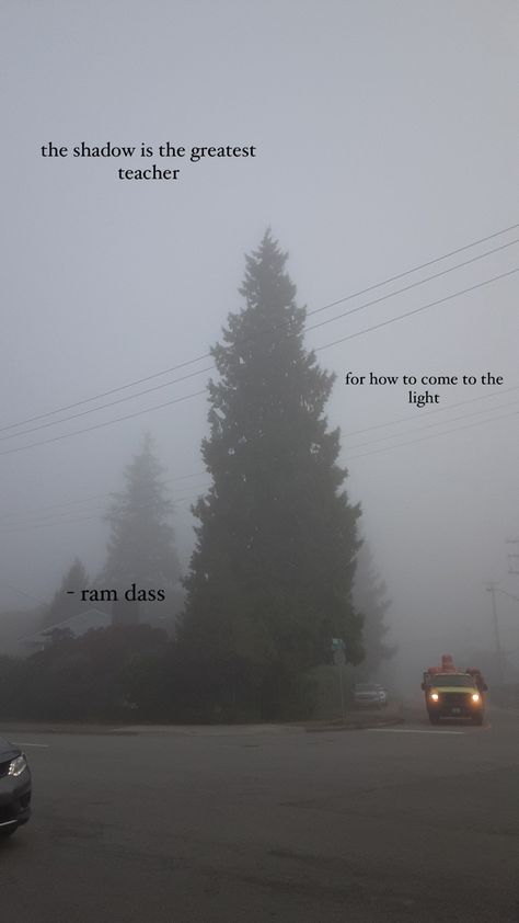 Scary, eerie, spooky vibes, quotes, inspirational quote, lifestyle, electronics, ram dass, shadow, teacher, light, october, halloween, spooky, spooky season, tumblr, aesthetic, Pinterest, pin, board, cute, trend, trending Spooky Forest Aesthetic, Dark Creepy Forest, Spooky Season Quotes, Forest Quotes, Spooky Spooky, Season Quotes, Ram Dass, Vibes Quotes, October Halloween