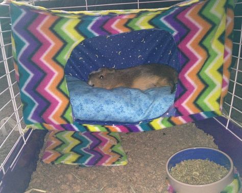 Homemade guinea pig loft bed More Pet Pig Care, Diy Guinea Pig Cage, Guinea Pig Diy, Guinea Pig Hutch, Fleece Bedding, Guinea Pig Accessories, Guinea Pig House, Baby Guinea Pigs, Guinea Pig Bedding