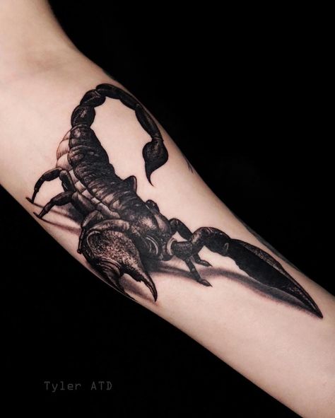 Tnt Tattoo, Photo Realism Tattoo, Whistler Bc, Scorpion Tattoo, Skull Pictures, Free Tattoo, Realism Tattoo, Custom Tattoo, Whistler