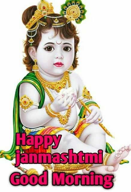 Happy Janmashtami Good Morning Images, Janmashtami Good Morning, Janmashtami Images Hd, Happy Krishna Janmashtami Images, Janmashtami Image, Janmashtami Pictures, Janmashtami Greetings, Shri Krishna Janmashtami, A Very Good Morning