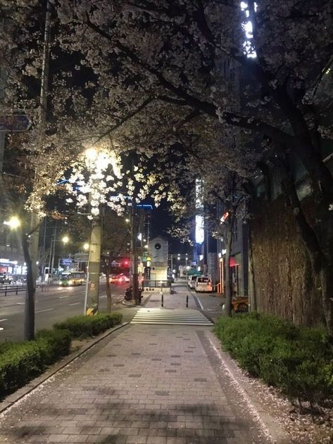 Park At Night Aesthetic Korea, City Korea, Wow Photo, Dark City, City Pictures, Japan Aesthetic, Beautiful Streets, Korea Travel, Korean Aesthetic