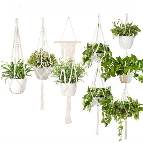 Check out our COTTAGECORE aesthetics selection for all your cottagecore room decor ideas at boogzel home! Shop spring and summer decorations.Posters, wall decor, floral prints, fruit patterns, vases, lights. Save up to 10% with current Boogzel coupons! Plant Hangers Indoor, Macrame Hanging Planter, Hanging Planters Indoor, Indoor Flower Pots, Hanging Plants Indoor, Hanging Plant Holder, Hanging Flower Pots, Balcony Plants, Decorated Flower Pots