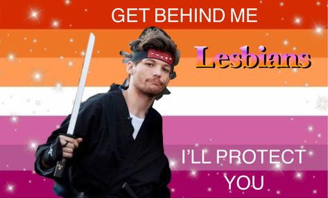 Harry Styles Lesbian Flag, Want A Girlfriend, Princess Parking, One Direction Louis, Lesbian Flag, Gay Memes, 1d And 5sos, Funny Profile Pictures, Fb Memes