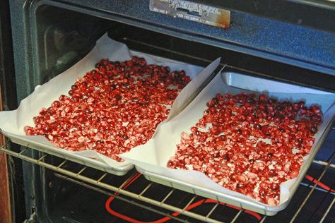 How To Dry Cranberries In Oven For Potpourri, Dry Cranberries In Oven, How To Make Dried Cranberries, Diy Dried Cranberries, How To Dry Fresh Cranberries, Drying Cranberries In Oven, Homemade Dried Cranberries, How To Dry Cranberries In Oven, How To Dry Cranberries