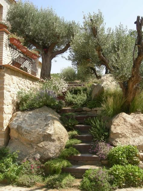 Backyard Hosting Space, Mediterranean Garden Landscape, Garden Design Mediterranean, Mediterranean Yard Design, Mediterranean Landscape Design Backyards, Mediterranean Gardens Landscape, Mediterranean Garden Design Landscaping, Mediterranean Garden Plants, Mediterranean Landscape Ideas