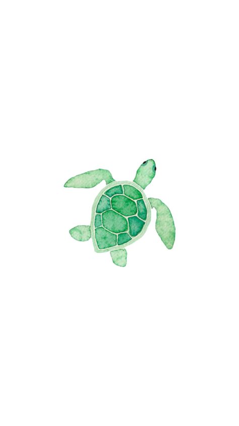 Sea Turtle Wallpaper Aesthetic, Sea Turtle Wallpaper, Sea Turtle Drawing, Beachy Wallpaper, Turtle Wallpaper, Ocean Drawing, Turtle Drawing, Adventure Time Wallpaper, Green Turtle