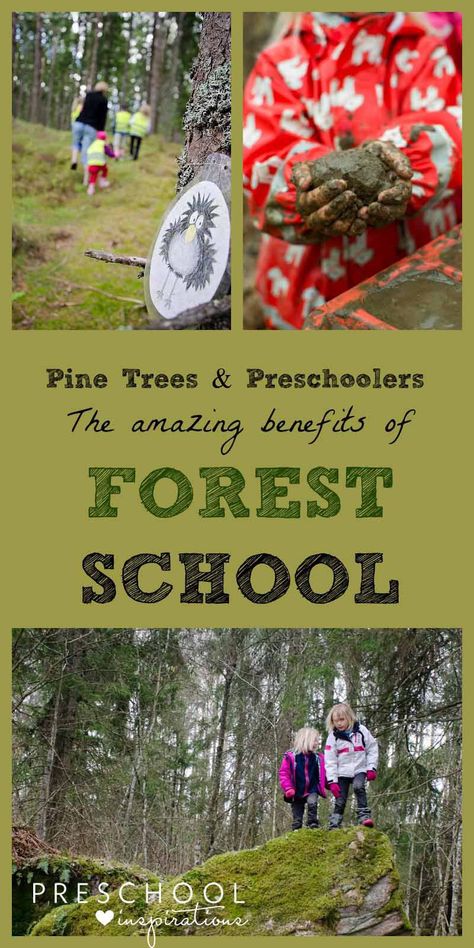 Pine Trees and Preschoolers. The Amazing Benefits of Forest School. The Scandinavian approach to outdoor learning and play is getting popular in the U.S. And with good reason. Forest Preschool, Forest Kindergarten, Outdoor Learning Activities, Forest School Activities, Nature Education, Nature School, Outdoor Education, Environmental Education, Outdoor Classroom