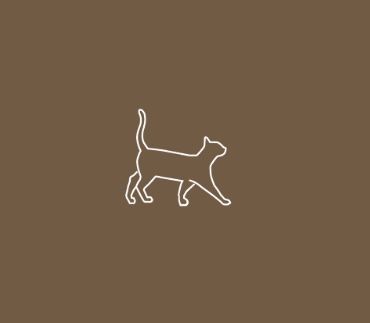 Brown Cat Icon, Beige Cat Icon, Brown Cat Wallpaper Cartoon, Brown Aesthetic Cat Wallpaper, Minimal Cat Wallpaper, Brown Cats, Brown Aesthetics, Aesthetic Widgets, Beige Icons:)