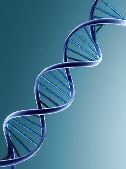 Dna Double Helix Model, Dna Aesthetic, Double Helix Dna, Dna Spiral, Dna 3d, Linkedin Background Photo, Dna Tree, Blood Dragon, Dna Art