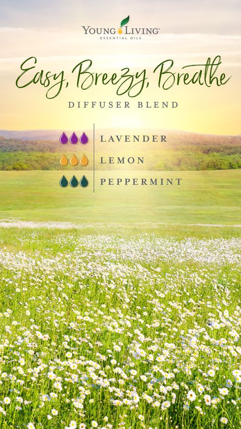 Breathe Diffuser Blend, Living Oils Recipes, Laser Focus, Essential Oil Combinations, Essential Oil Diffuser Blends Recipes, Young Living Essential Oils Recipes, Essential Oils Guide, Lavender Lemon, Essential Oil Diffuser Recipes