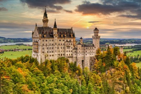 14 Castles in Germany You Need to Visit Fairytale Palace, Walt Disney Castle, Nuremberg Castle, Castles In Germany, Lichtenstein Castle, Hohenzollern Castle, German Fairy Tales, Bavarian Alps, Forest Backdrops