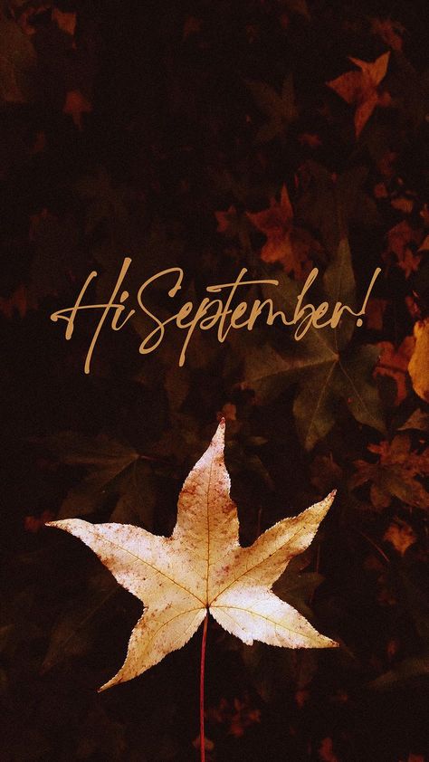 September Happy New Month, September New Month Wishes, First Day Of September Quotes, Welcome September Images, September Wallpaper Aesthetic, September Welcome, First Of September, Aesthetic September, September Images