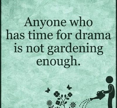 Garden Quotes Funny, Garden Quotes, Quotes Funny, Funny Quotes, Drama, Funny, Quotes, Flowers, Green