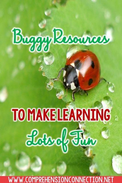 Kids just love bugs. They love catching lightning bugs, exploring spider webs (from a distance), and investigating things like body parts, what they eat, etc.Check out this post for buggy ideas and FREEBIES. Catching Lightning, Thematic Teaching, Lightning Bugs, Comprehension Skills, Thematic Units, Mentor Texts, Spider Webs, Comprehension Activities, Love Bugs