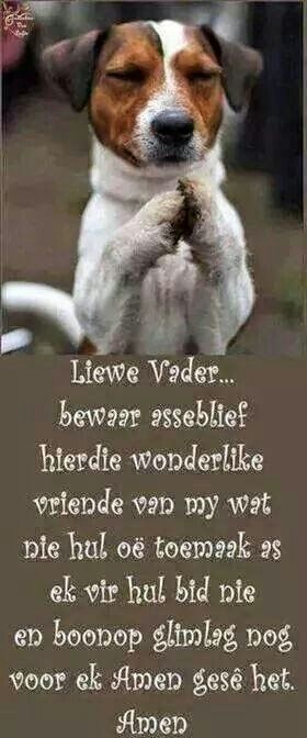 Goeie Nag Lekker Slaap Christelik Afrikaans Oulik, Goeie Nag Lekker Slaap Afrikaans Oulik Goeie Nag, Afrikaanse Quotes Oulike, Goeie More Afrikaans Oulik, Nag Lekker Slaap, Christelike Inspirasie, Afrikaanse Sêgoed, African Jokes, Christelike Boodskappe