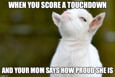 Proud baby goat Goat Quote, Goats Funny, Cute Goats, Baby Goats, La Face, Top Funny, Funny Animal Memes, Weird Animals, Animal Memes