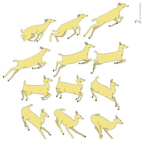 Deer Jumping Drawing, Animal Jump Animation, Deer Running Animation, Deer Run Cycle, Deer Walk Cycle, Bird Flying Animation Frames, Jump Animation Reference, Deer Animation, Deer Reference