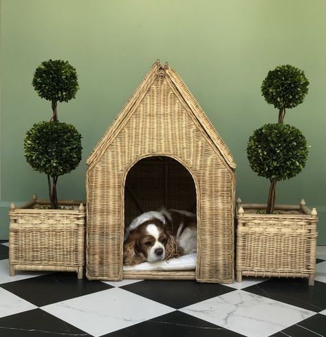 Fancy Dog Houses, Teacup Breeds, Dog Tent, Shepherd Dog Breeds, Dog House Diy, Fancy Dog, Dog Grooming Business, Best Dog Training, Dog Furniture