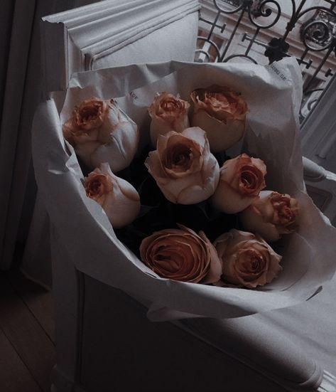 Greek Mythology Aesthetic, Mythology Aesthetic, Maroon Aesthetic, 1989 Taylor's Version, Rosé Aesthetic, Rosé Brown, Brown Flowers, Plant Aesthetic, Flower Therapy