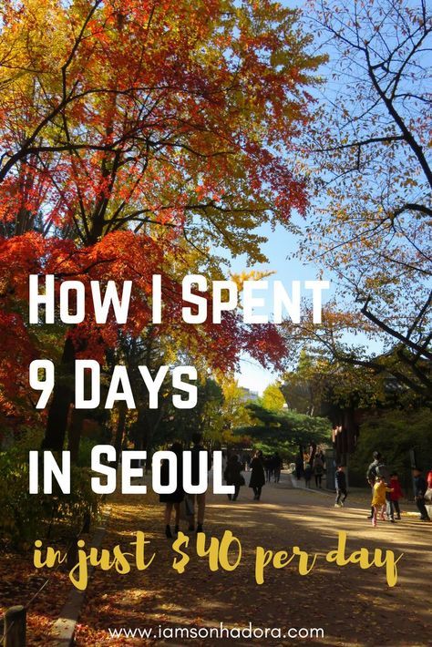 How to travel Seoul, South Korea in just $40 a day Travel Seoul, Seoul Korea Travel, Seoul Travel, South Korea Travel, International Travel Tips, Korea Travel, Usa Travel Destinations, Travel South, Seoul South Korea