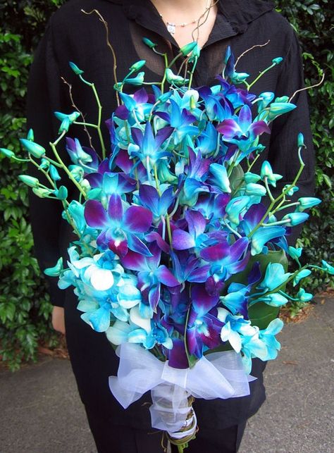 artificial blue orchids for wedding bouquets | Blue orchids arm sheaf bridal flowers Blue Orchid Bouquet, Blue Dendrobium Orchids, Wedding Decorator, Dreamy Flowers, Flowers Orchids, Bloom Wedding, Orchid Flower Arrangements, Wedding Flower Guide, Shotgun Wedding