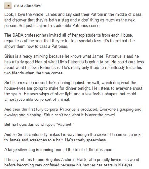 Sirius and Regulus Black - Patronus-----AHHHHHHHHHHHHHHHHHHHHHHHHHHHHHHHHHHHHHHHHHHHHHHHHHHHHHHHHHHHHHHHHHHHHHHHHHHHHHHHHHHHHHHHHHHHHHHHHHHHHHHHHHHHHHHHHHHH!!!!!!!!!!!!!!!!!!!!!!!!!!!!!!!!!!!!!!!!!!!!!!!!!! Sirius Black And Regulus Black, Black Brothers Headcanons, Regulus And Sirius Black Headcanon, Regulus Headcanons, Regulus Black And Sirius, Regulus Black Headcanon, Sirius Regulus, Sirius And Regulus Black, Regulus And Sirius Black