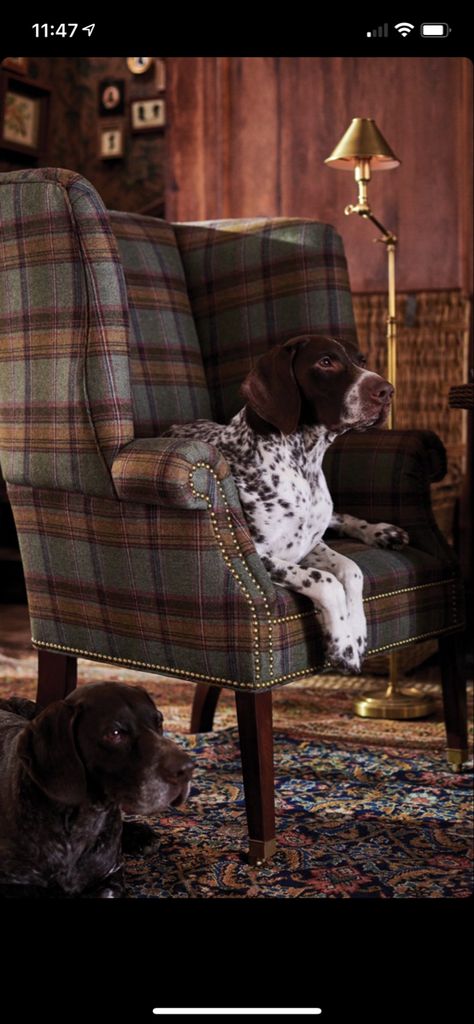 Ralph Lauren Home Living Room English, Ralph Lauren Cabin, Ralph Lauren Home Living Room, Ralph Lauren House, Ralph Lauren Interiors, Scottish Interiors, Plaid Chair, Ralph Lauren Looks, Ralph Lauren Fabric