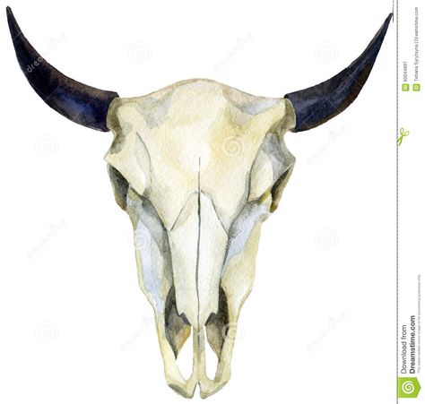 Longhorn Skull Art, Watercolor Buffalo, Skull Watercolor, Bird Nursery Art, Bull Skull Tattoos, Bull Tattoos, Longhorn Skull, Buffalo Skull, Paint Vector